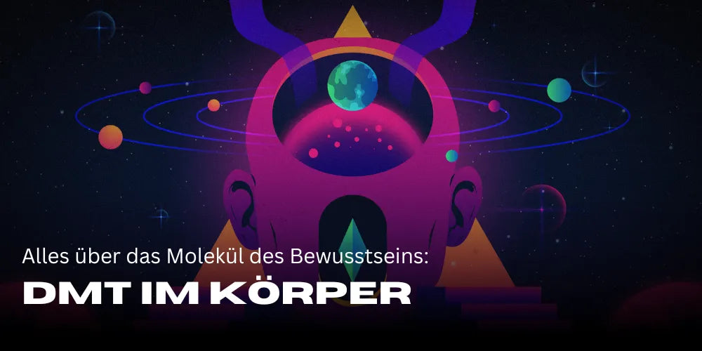 DMT im Körper: Alles über das Molekül des Bewusstseins-Smagro GmbH