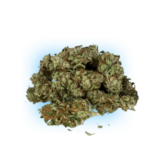 10-O Mr. Nice Guy 1g 10%-HHCFriends