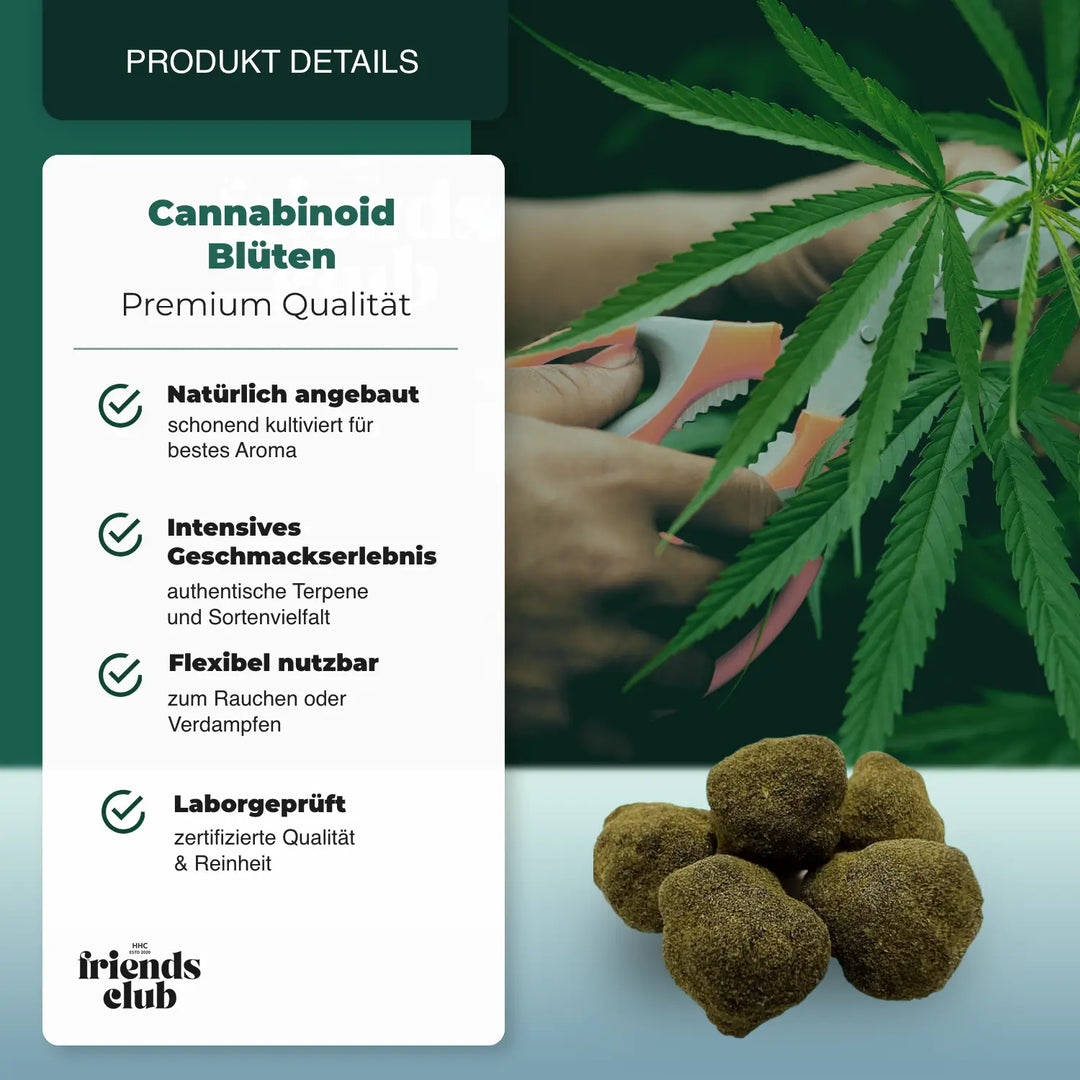CBD Blüten Moonrocks 1g - hhcfriends