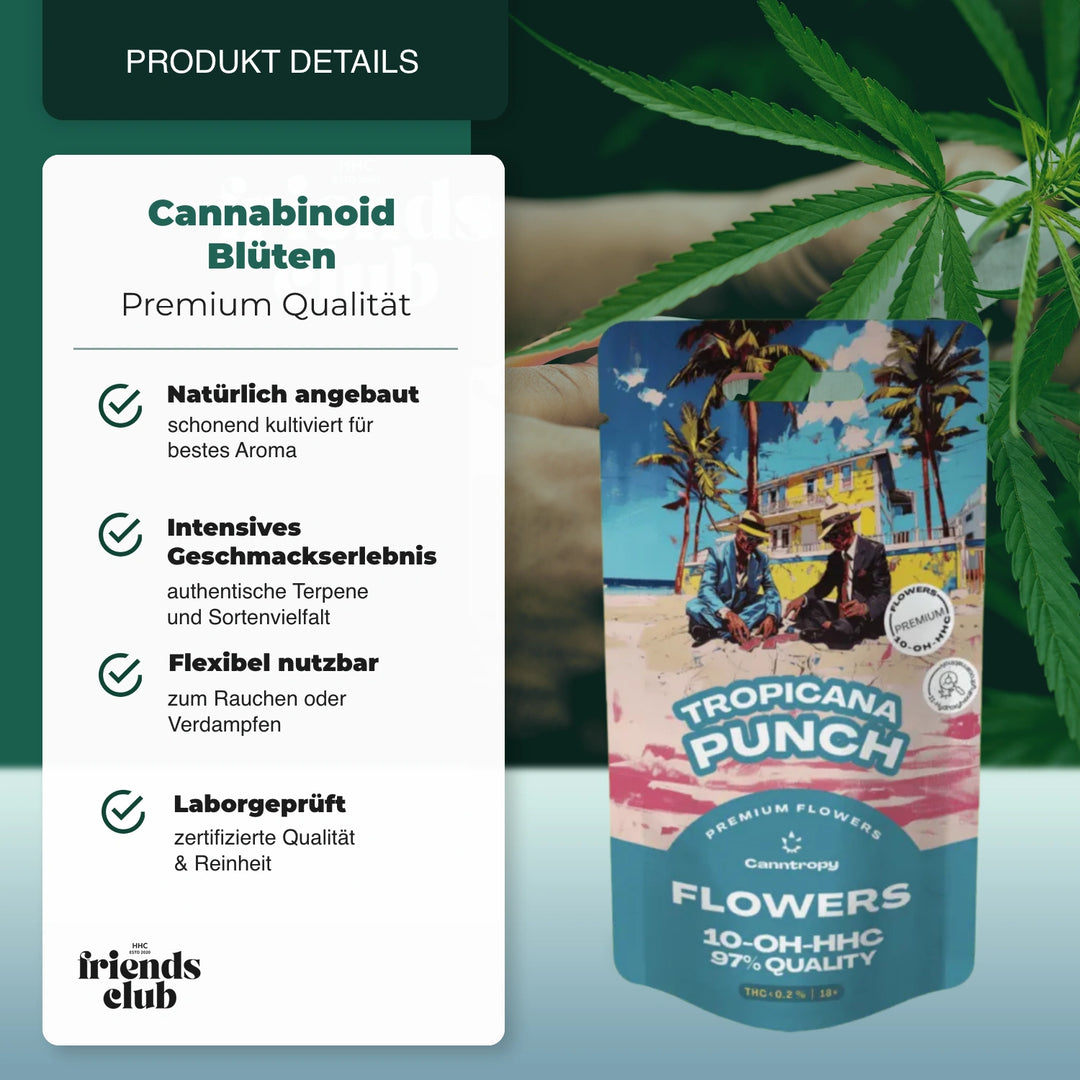 10-OH Blüte Tropicana Punch 97%-Smagro GmbH