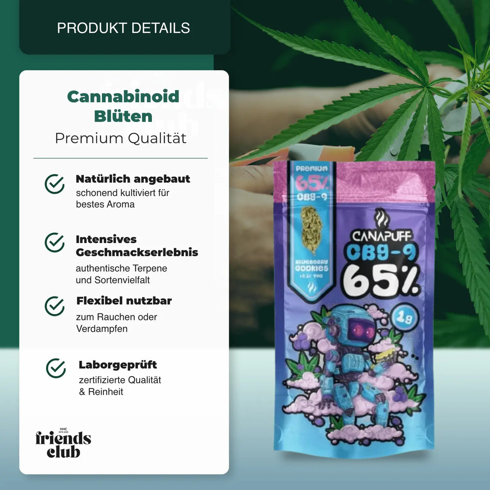 CBG9 Blüte Blueberry Cookie 65% - hhcfriends