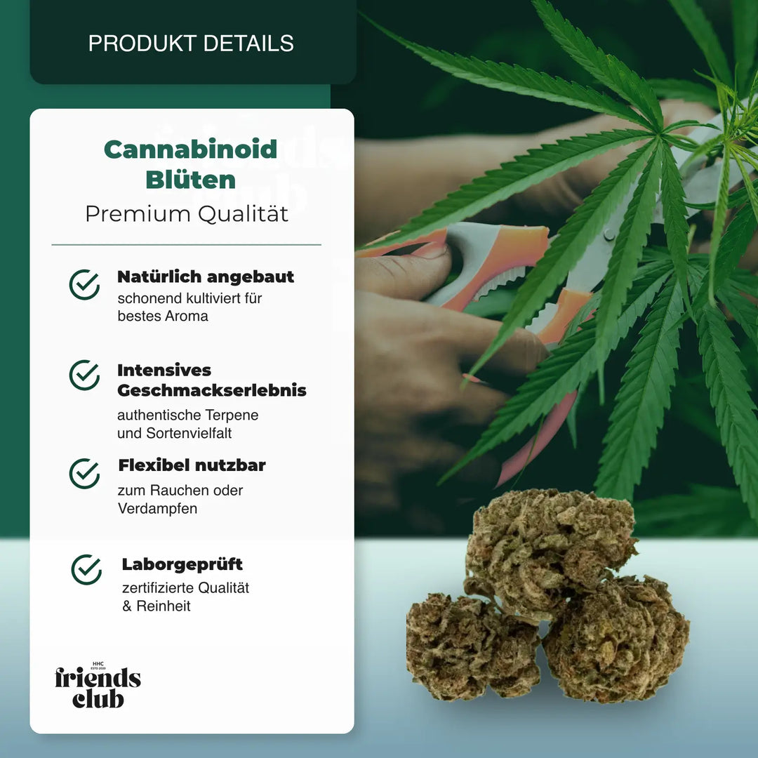 C9 Blüten Sour Diesel 40% - hhcfriends