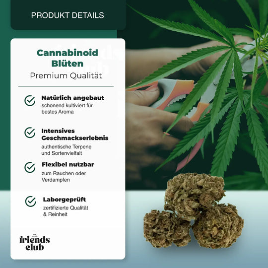 C9 Blüten Sour Diesel 40% - hhcfriends