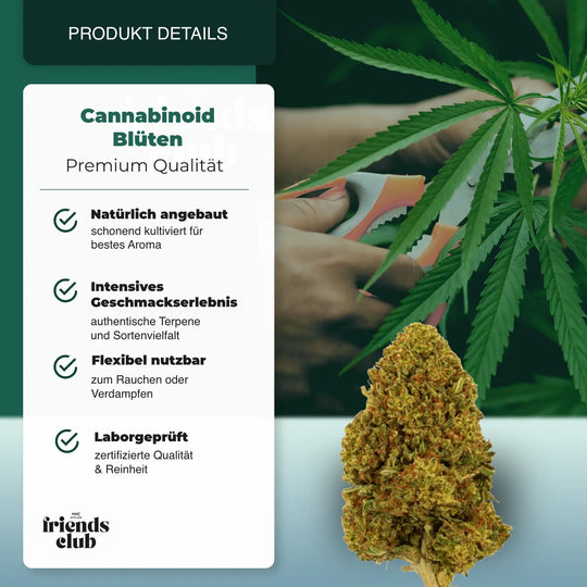 PHC Blüten Gelato #45 - hhcfriends