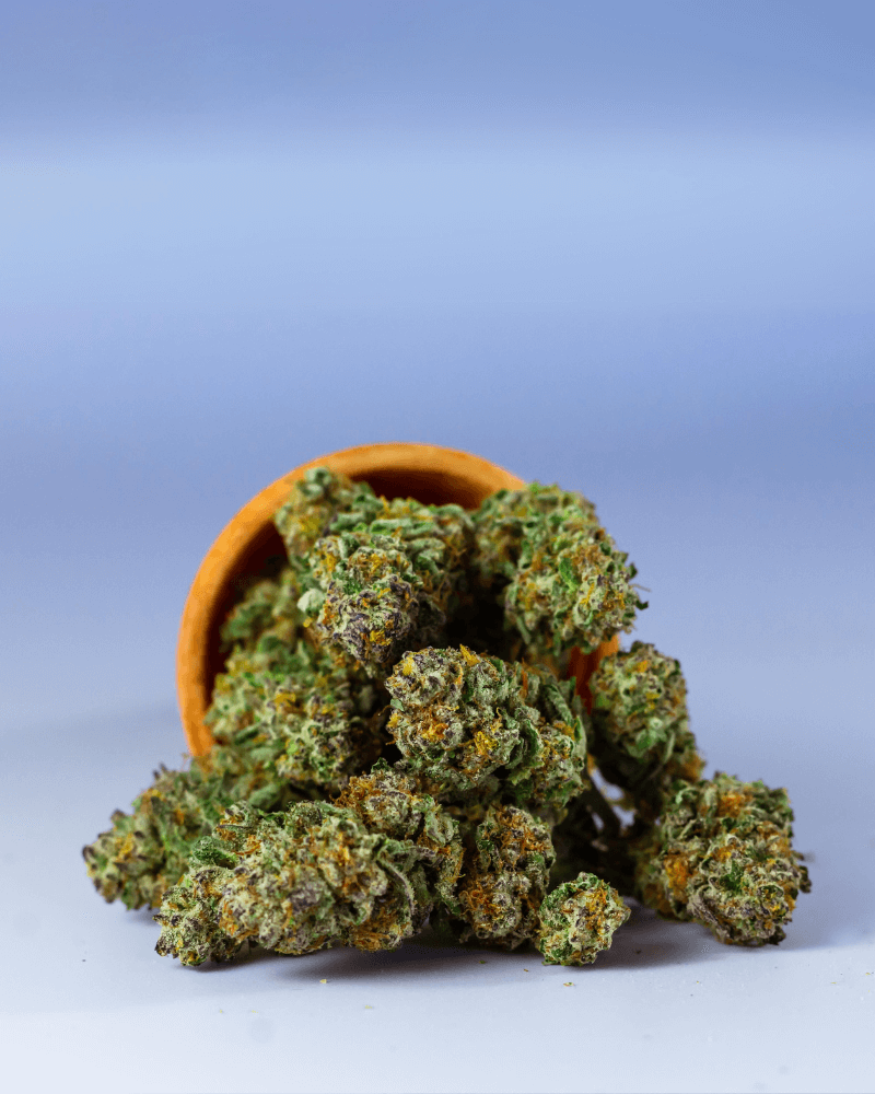 OG Kush Strain Nebenwirkungen