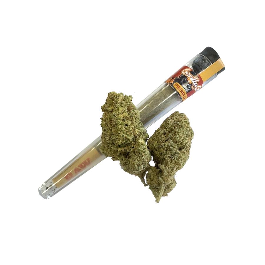 Prerolled HHZ 40% – Gorilla Glue