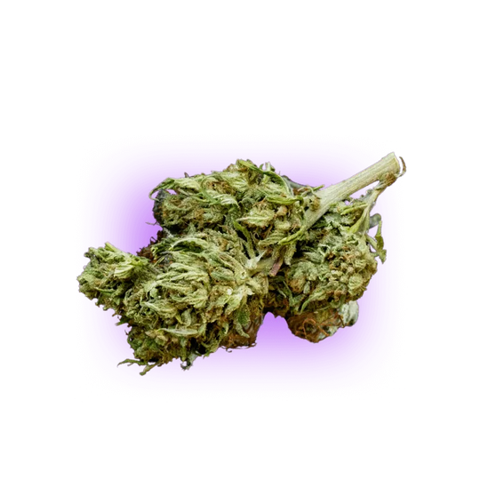 CBD Blüte Super Lemon Haze NO THC-HHCFriends