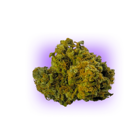 Cannabis Seeds AK47 auto. 3Stück HHCFriends