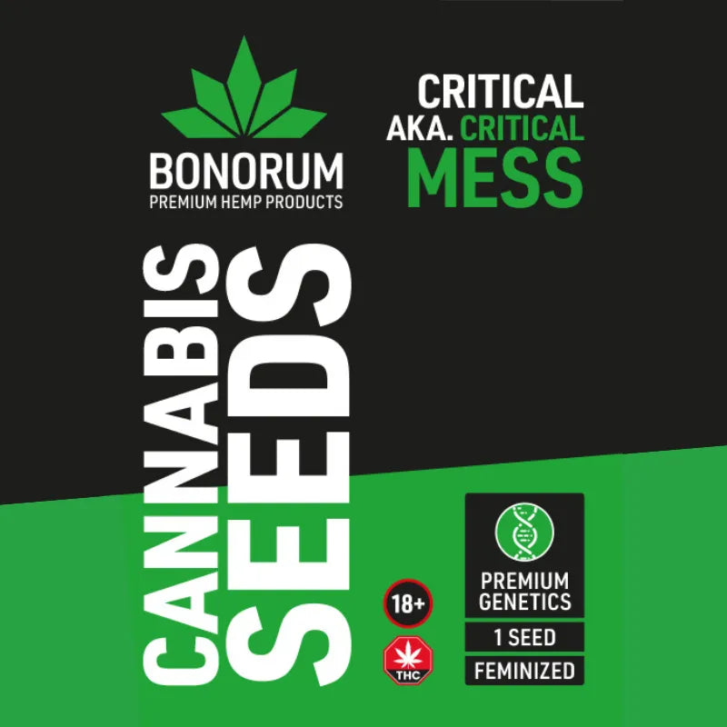 Critical aka Critical Mess Samen THC 🌱-HHCFriends