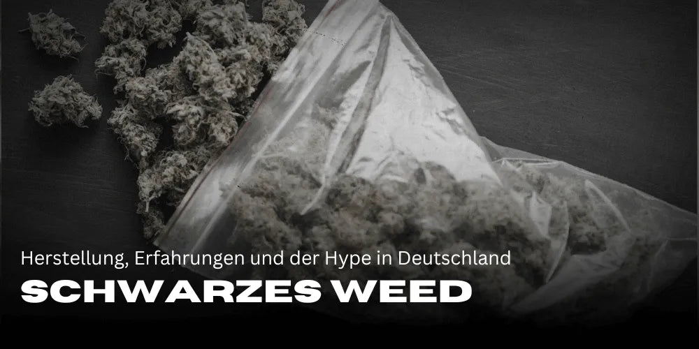 Schwarzes Weed - Sorten, Herstellung, Erfahrungen und der Hype in Deutschland