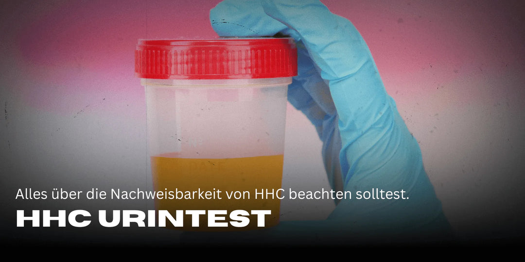 HHC Urintest: Wie lange ist HHC im Urin nachweisbar?
