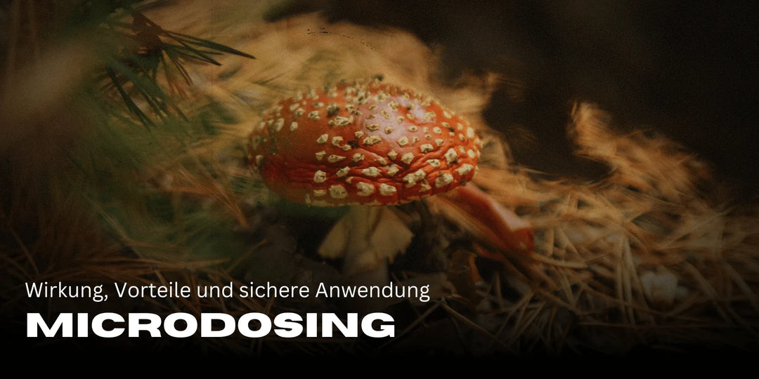 Microdosing: Wirkung, Vorteile und sichere Anwendung