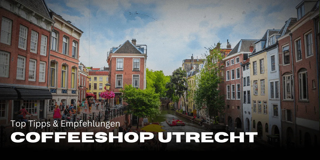 Die besten Coffeeshops in Utrecht für Touristen: Top Tipps & Empfehlungen 🌿