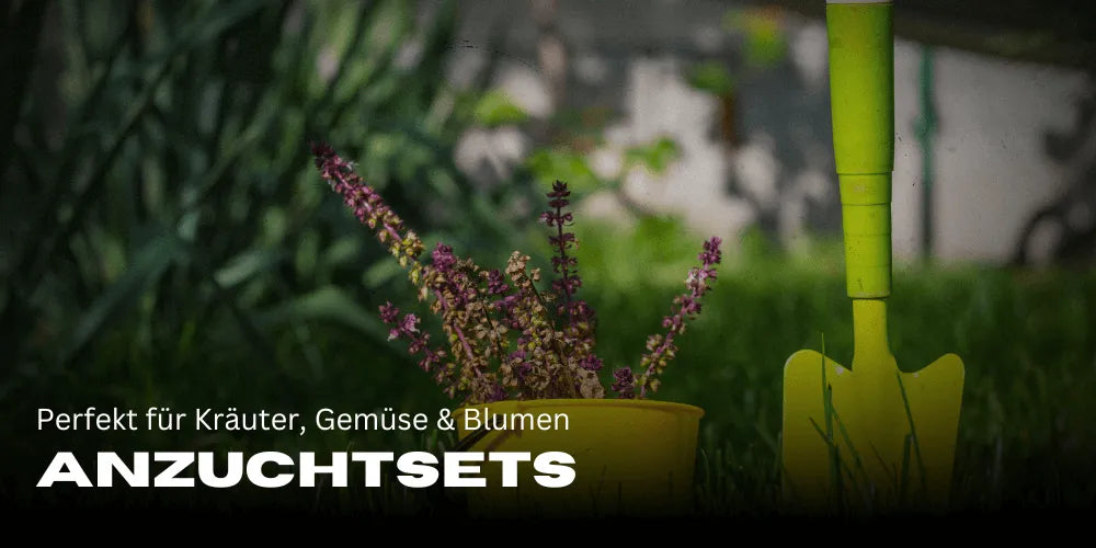 Anzuchtsets: Perfekt für Kräuter, Gemüse & Blumen