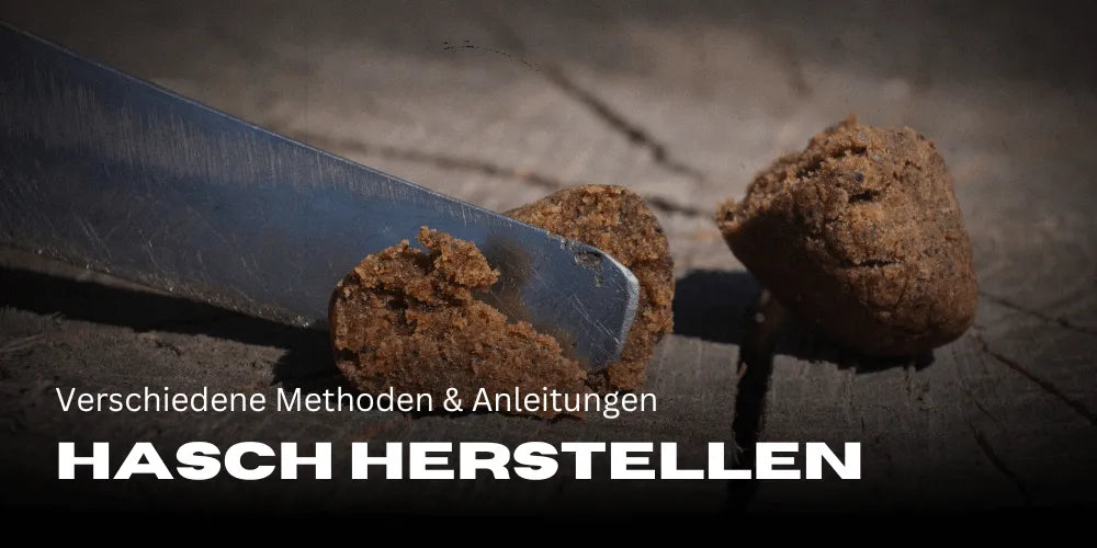 Haschisch herstellen: Schritt-für-Schritt Anleitung & Tipps