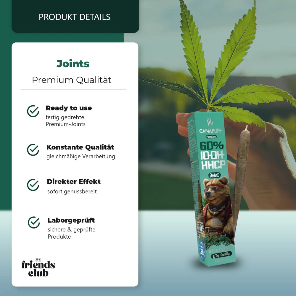 10-OH-P Joint Big Bad Bear 60 % 2g