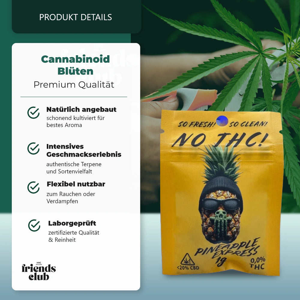 CBD Blüte Pineapple Express NO THC