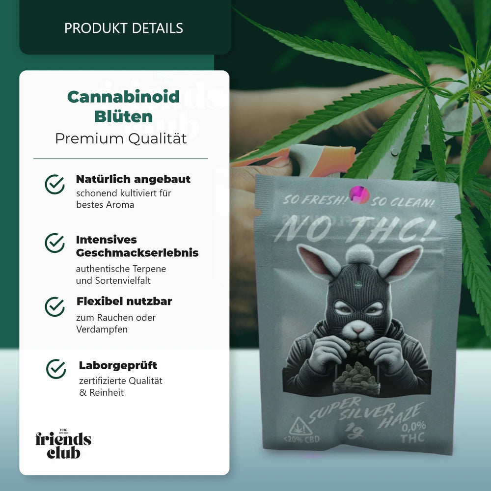 CBD Blüte Super Silver Haze NO THC
