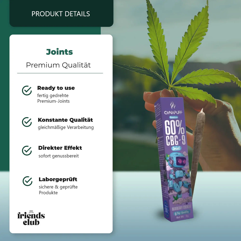 CBG9 Joint Blueberry Cookies 60% 2g-Smagro GmbH