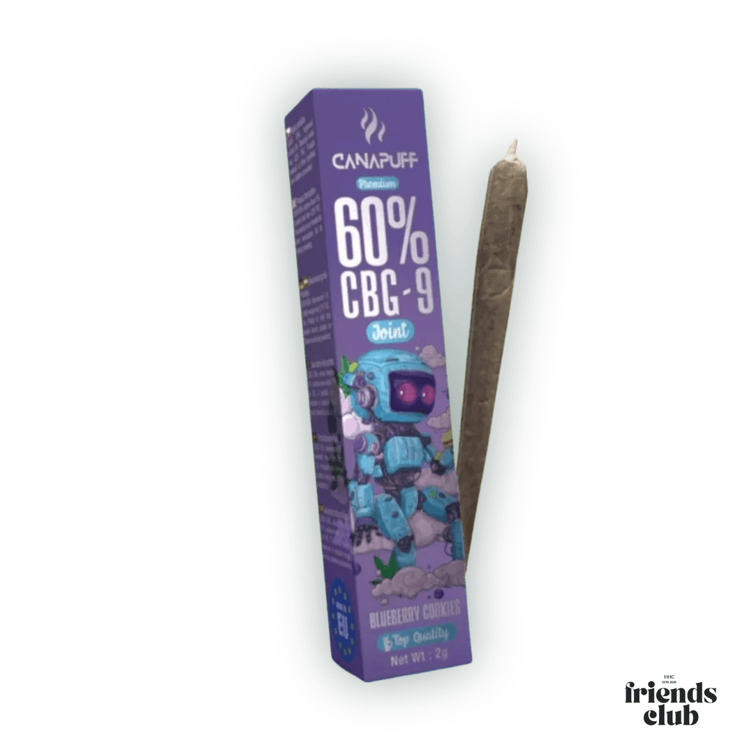 CBG9 Joint Blueberry Cookies 60% 2g-Smagro GmbH