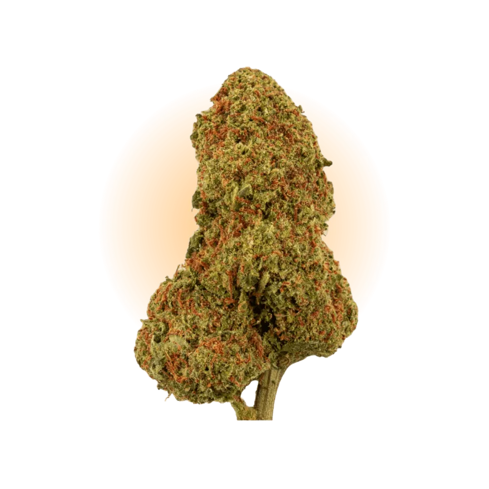 PHCP Blüte Candy Kush-Smagro GmbH