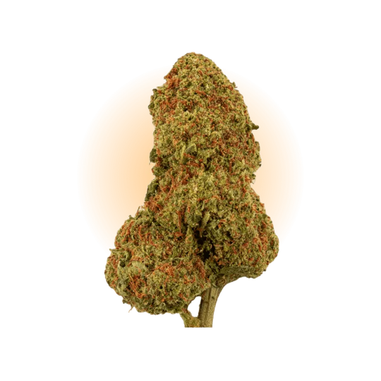 PHCP Blüte Candy Kush-Smagro GmbH