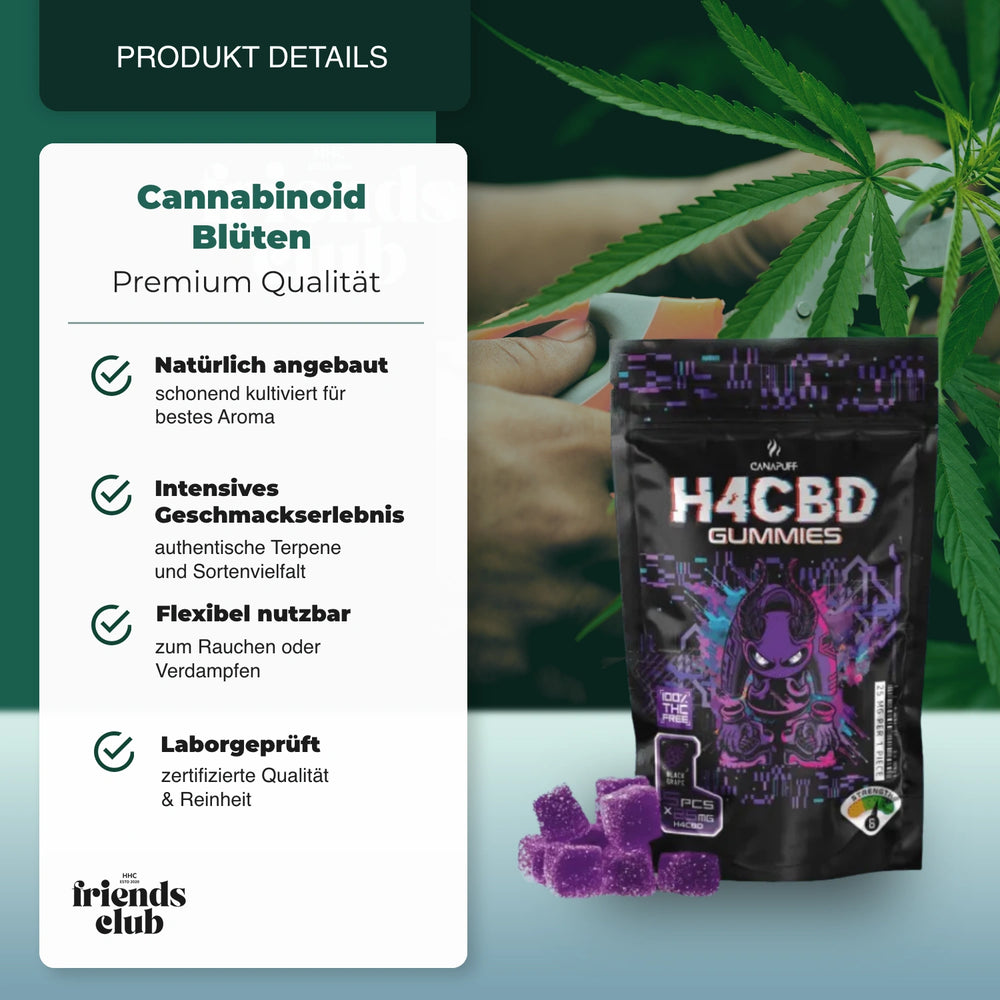H4CBD Gummibärchen - Black Grape - hhcfriends