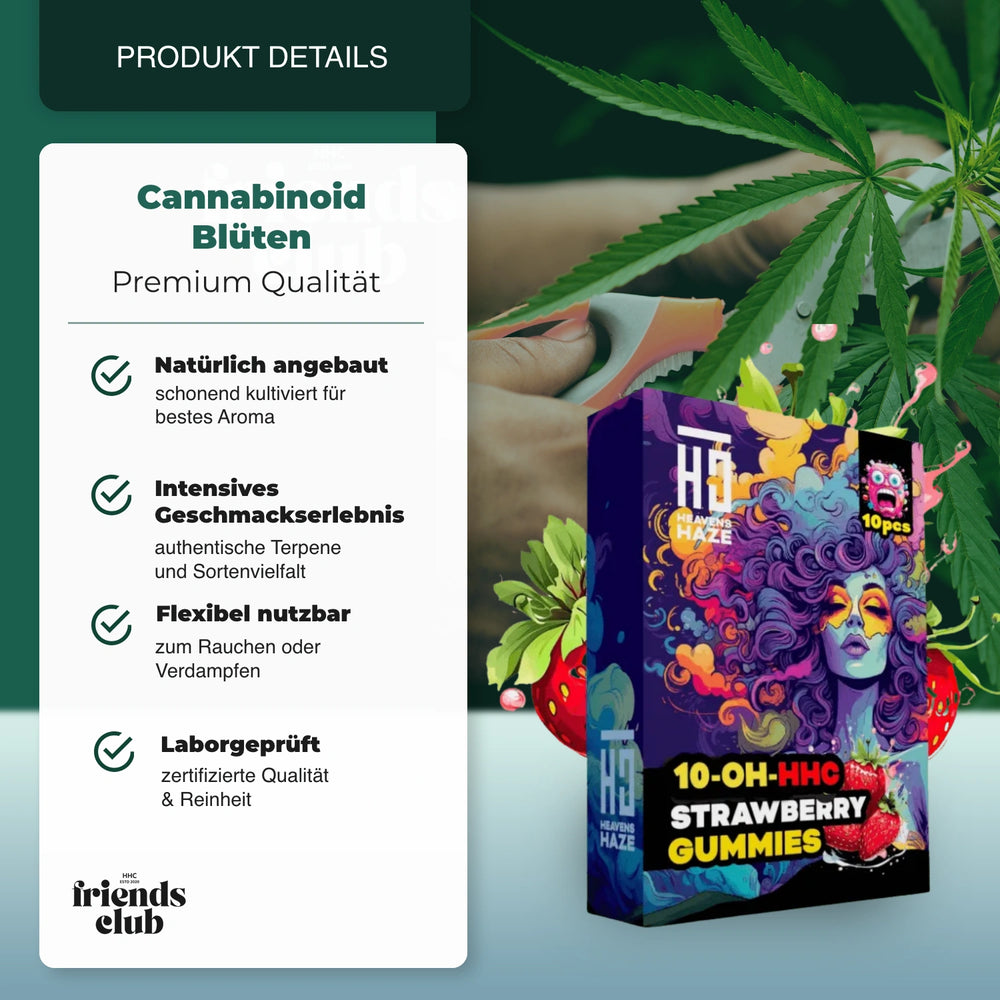 10-OH Gummies Erdbeere 10 Stück - hhcfriends