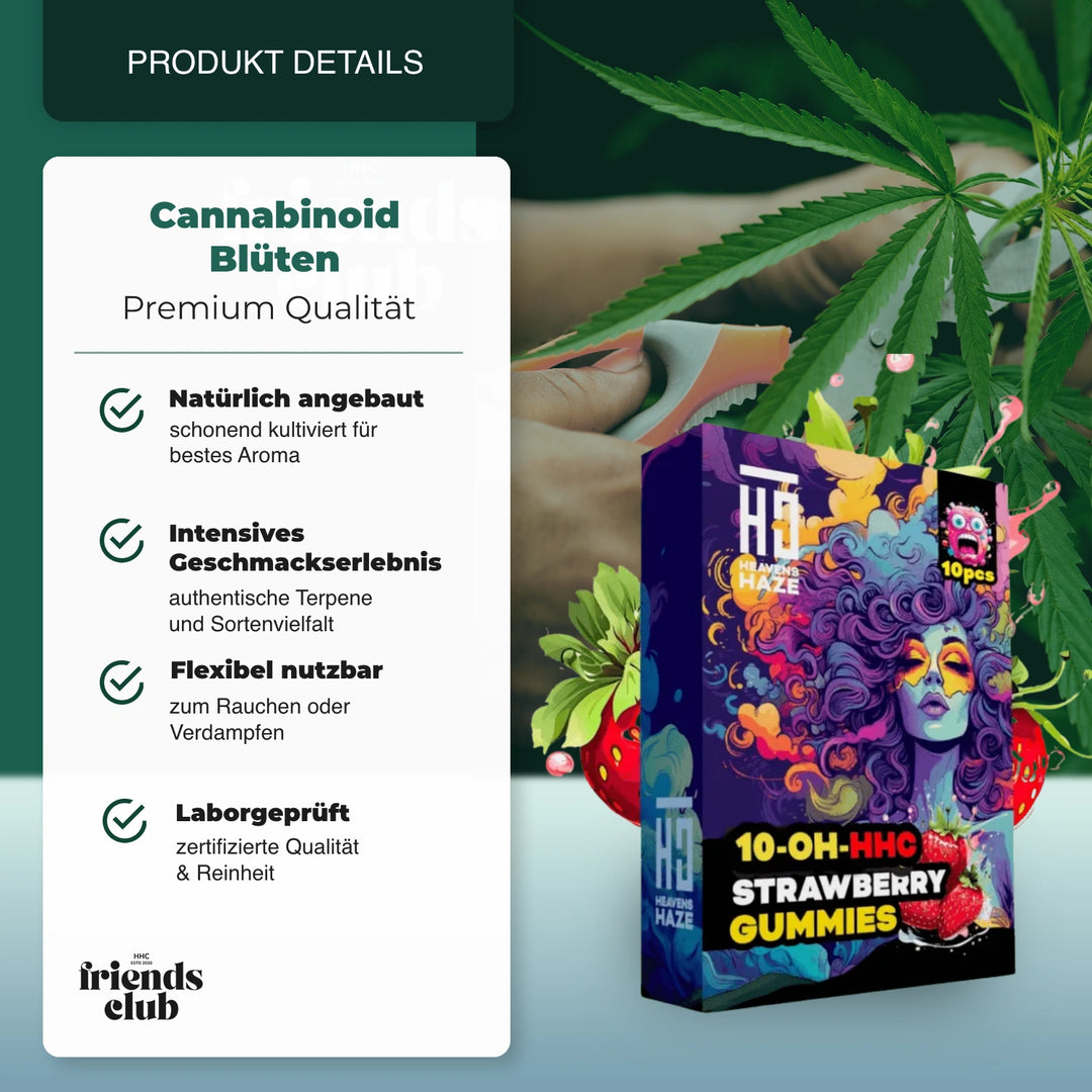 10-OH Gummies Erdbeere 10 Stück - hhcfriends