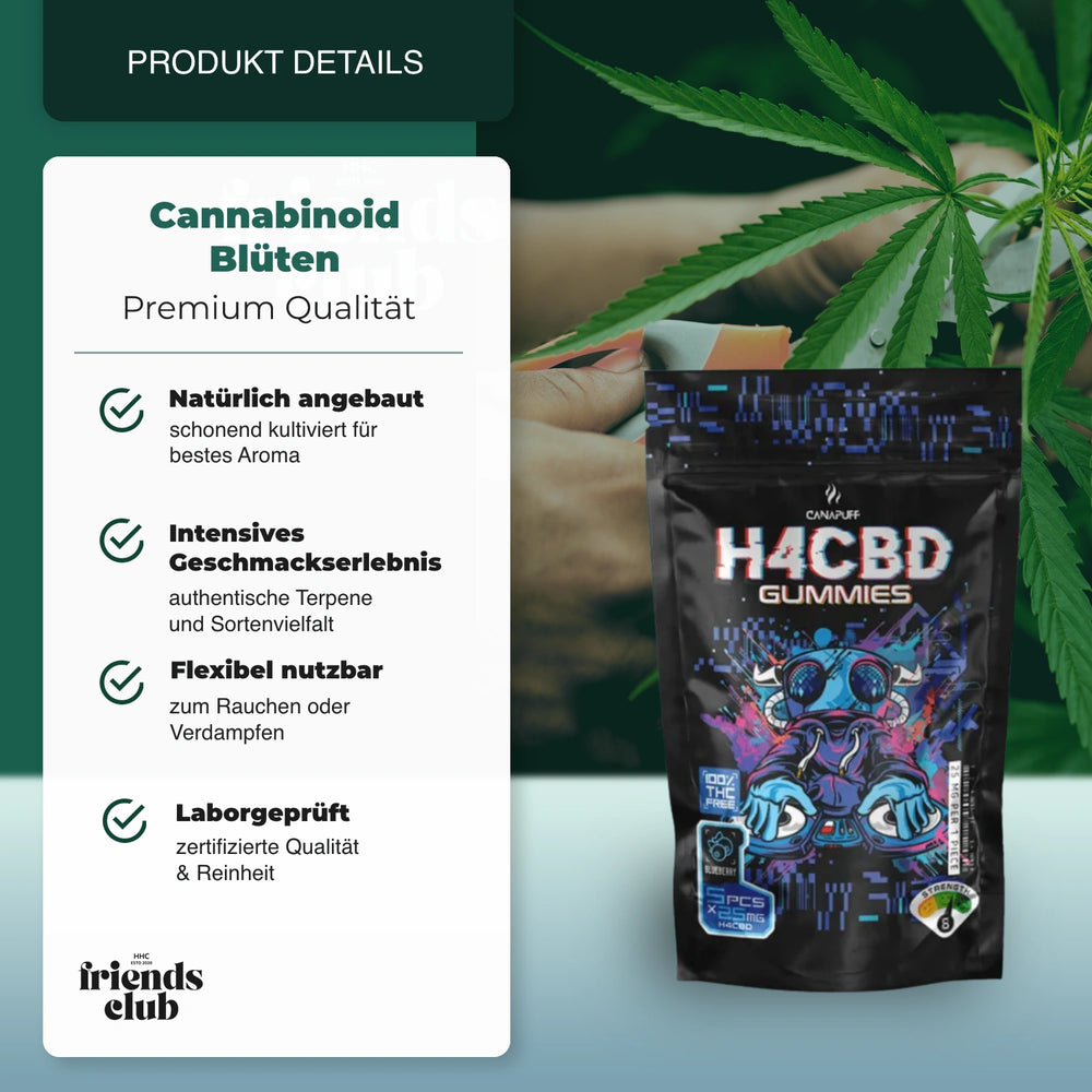 H4CBD Gummibärchen - Heidelbeere - hhcfriends