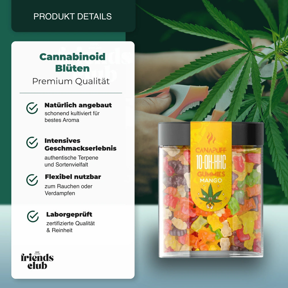 10-OH Gummies Mango 10 Stück - hhcfriends