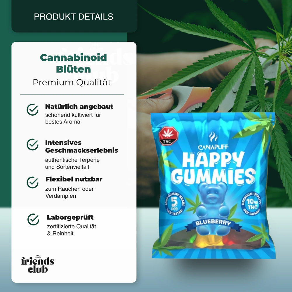 THC Gummies - Blaubeere (5 Stück) - hhcfriends