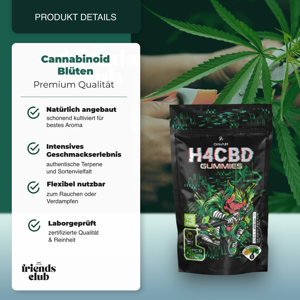 H4CBD Gummibärchen - Grüner Apfel - hhcfriends