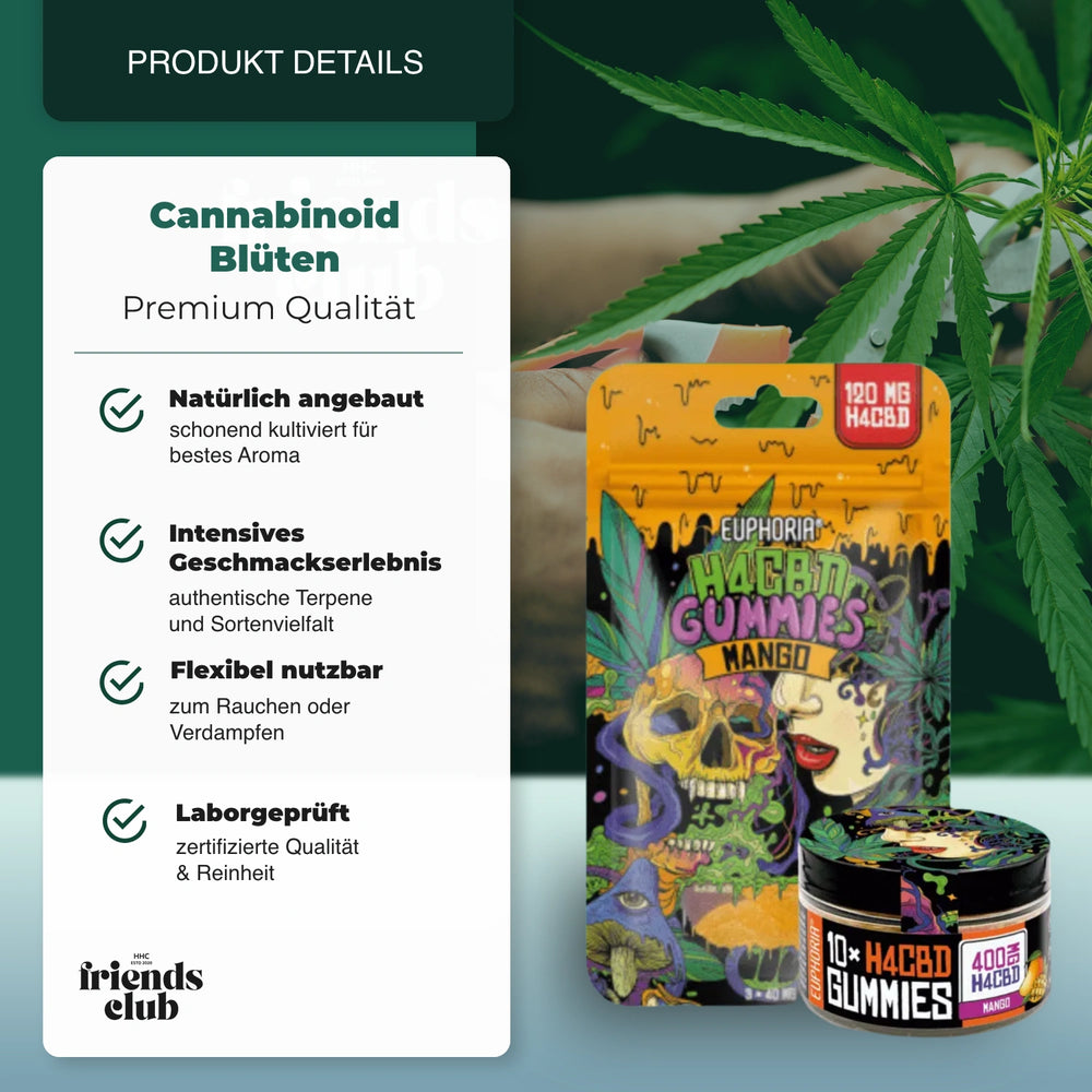 H4CBD Gummies Mango - hhcfriends