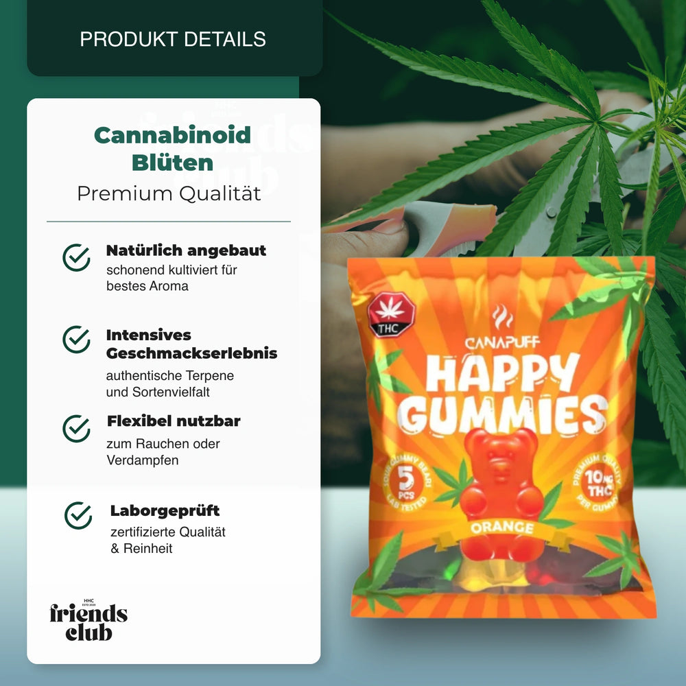 THC Gummies - Orange (5 Stück) - hhcfriends
