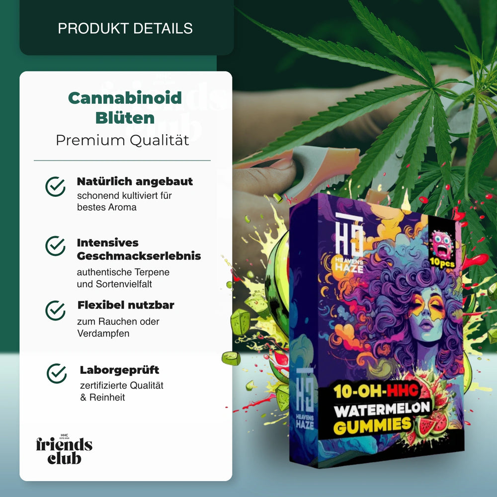 10-OH Gummies Wassermelone 10 Stück - hhcfriends