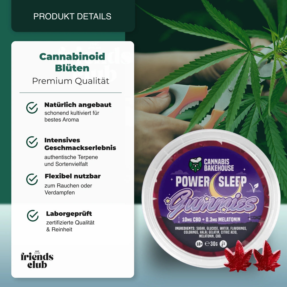 CBD Sleep Gummies Leaves BLACKCURRANT 30g - hhcfriends