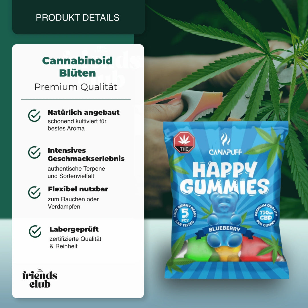 CBD Gummies Blueberry - hhcfriends