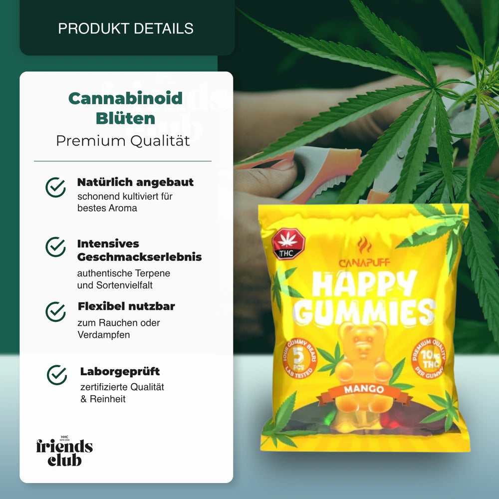 THC Gummies - Mango (5 Stück) - hhcfriends