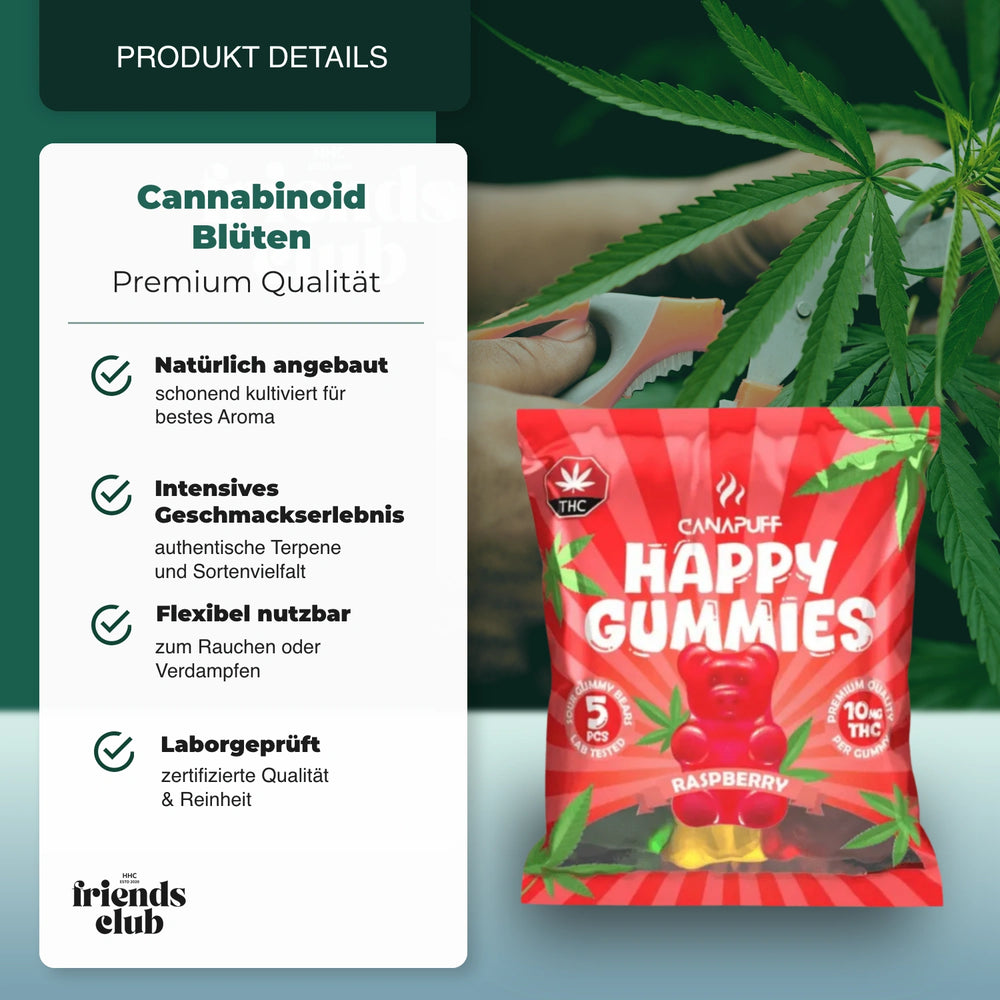 THC Gummies - Raspberry (5 Stück) - hhcfreinds