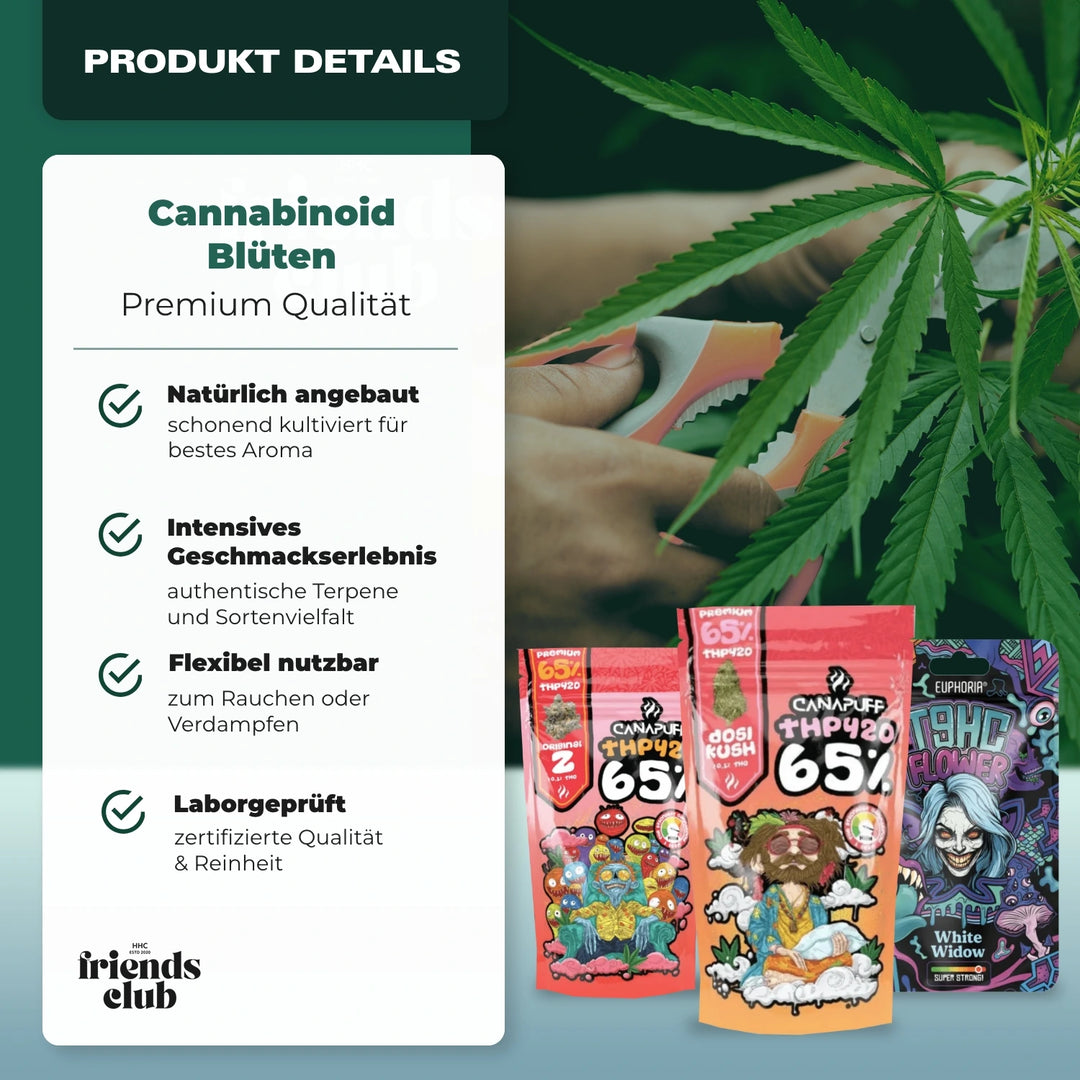 H3 Blüten Zkittlez