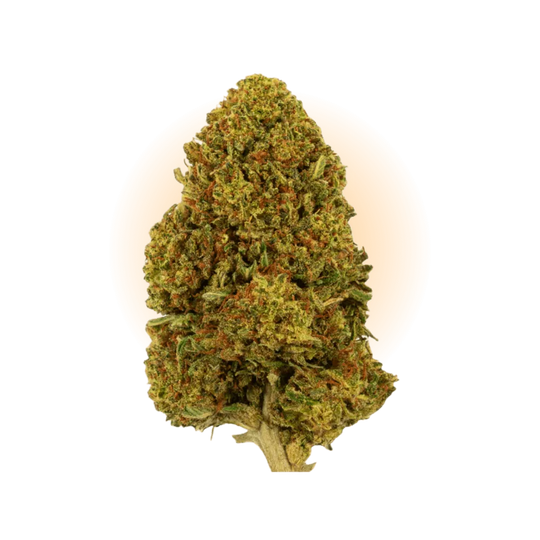 PHC Blüten Gelato #45-Smagro GmbH