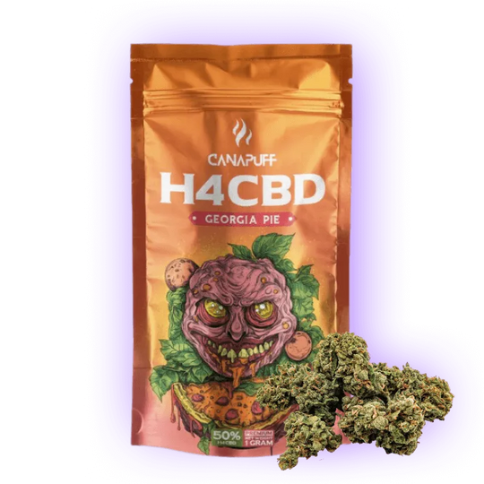 H4CBD Georgia Pie 50%