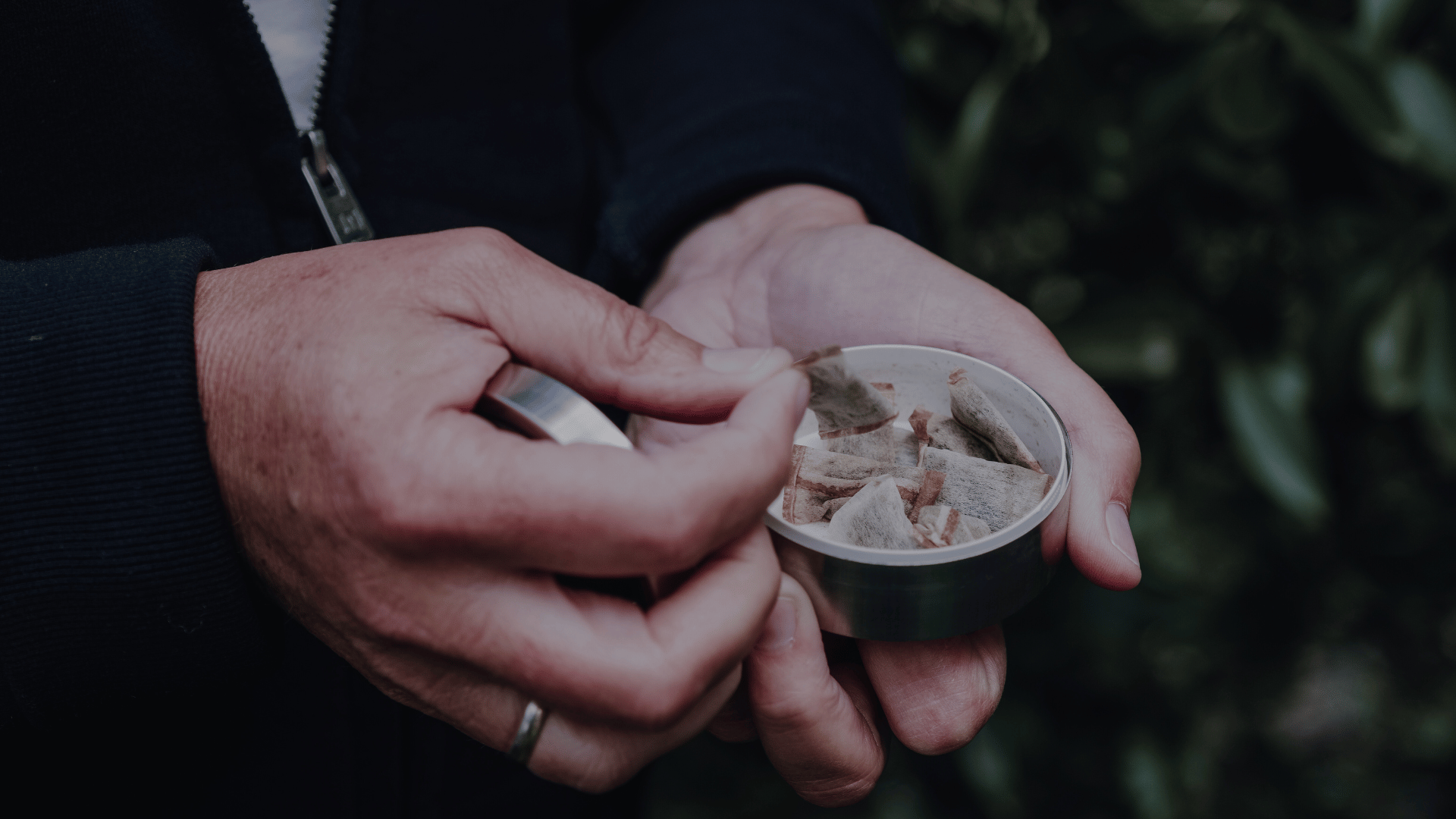 Snus kaufen Titel 1