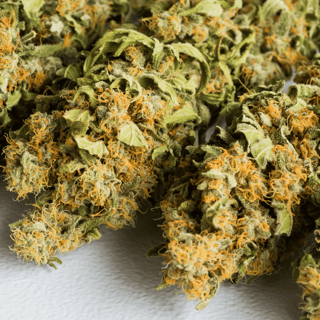 Cannabis Blüten