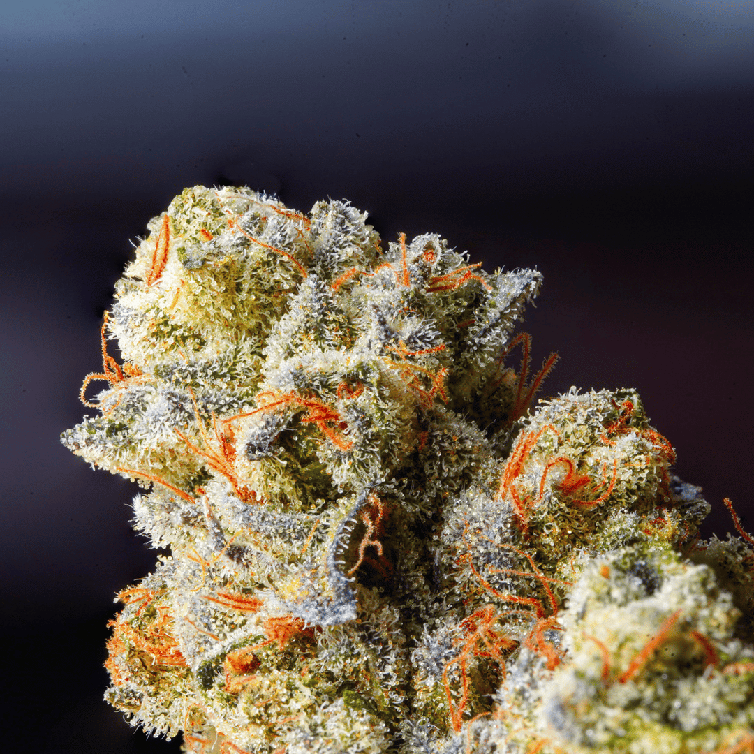 Cannabis Blüten