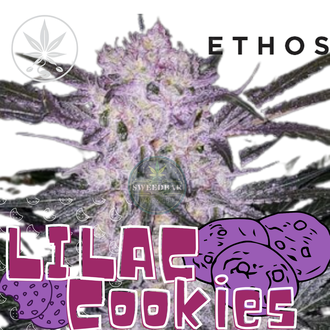 Lilac Cookies Ethos Genetics