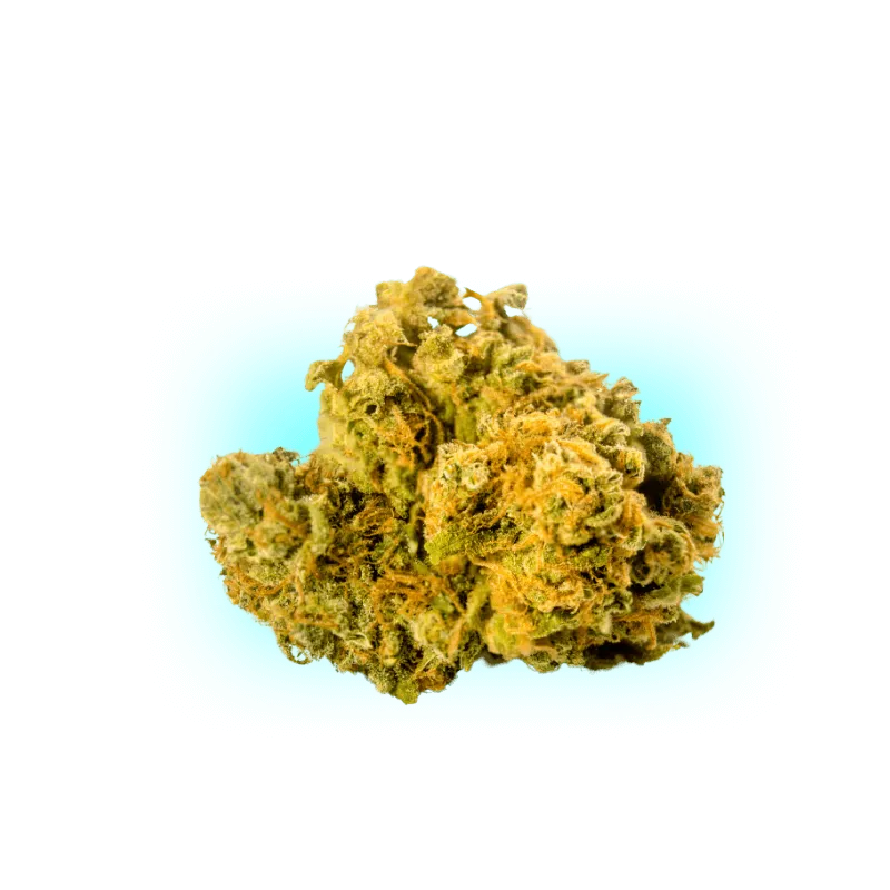 PHC Blüten Mango 25%