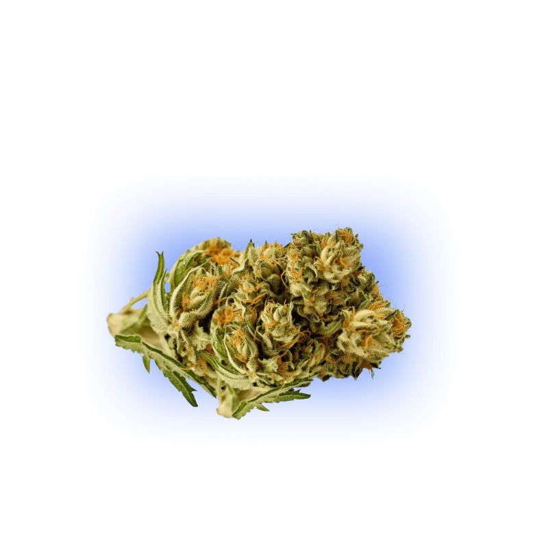 PHC Blüten Plutonium 25%