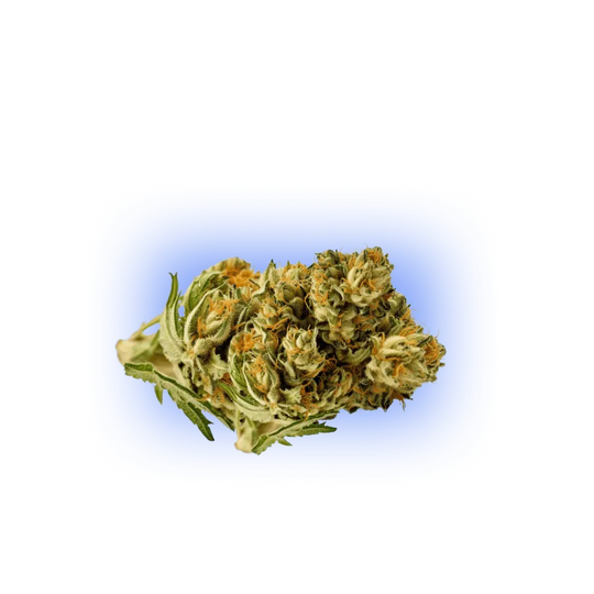 PHC Blüten Plutonium 25%